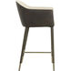 Kylin 37.5 inch Dillon Cream / Bravo Ash Counter Stool